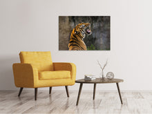 Lade das Bild in den Galerie-Viewer, Leinwandbild Achtung Tiger
