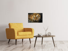 Lade das Bild in den Galerie-Viewer, Leinwandbild Tiger im Wasser
