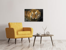 Lade das Bild in den Galerie-Viewer, Leinwandbild Tiger im Wasser
