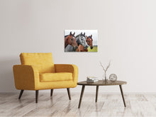Lade das Bild in den Galerie-Viewer, Leinwandbild Das Pferde Trio
