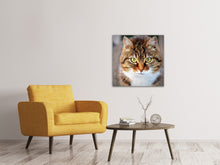 Lade das Bild in den Galerie-Viewer, Leinwandbild Tiger Katze
