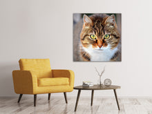Lade das Bild in den Galerie-Viewer, Leinwandbild Tiger Katze
