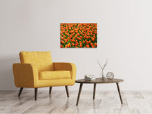 Lade das Bild in den Galerie-Viewer, Leinwandbild Tulpenfeld in orange
