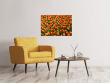 Lade das Bild in den Galerie-Viewer, Leinwandbild Tulpenfeld in orange
