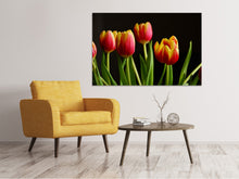 Lade das Bild in den Galerie-Viewer, Leinwandbild Farbenfrohe Tulpen
