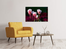 Lade das Bild in den Galerie-Viewer, Leinwandbild Die Schönheit der Tulpen
