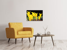 Lade das Bild in den Galerie-Viewer, Leinwandbild Gelbe Tulpen in der Natur
