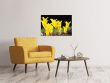 Lade das Bild in den Galerie-Viewer, Leinwandbild Gelbe Tulpen in der Natur
