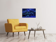 Lade das Bild in den Galerie-Viewer, Leinwandbild Korallenriff in blau
