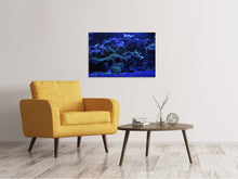 Lade das Bild in den Galerie-Viewer, Leinwandbild Korallenriff in blau
