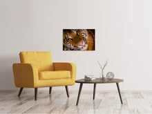 Lade das Bild in den Galerie-Viewer, Leinwandbild Tiger Gesicht
