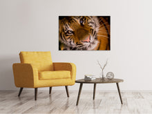 Lade das Bild in den Galerie-Viewer, Leinwandbild Tiger Gesicht
