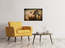 Lade das Bild in den Galerie-Viewer, Leinwandbild Gemälde Wildpferde
