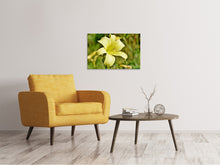 Lade das Bild in den Galerie-Viewer, Leinwandbild Lilien Blüte in gelb
