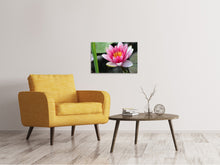 Lade das Bild in den Galerie-Viewer, Leinwandbild Die Seerose in pink
