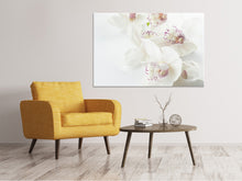 Lade das Bild in den Galerie-Viewer, Leinwandbild Fantastische Orchideen
