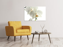 Lade das Bild in den Galerie-Viewer, Leinwandbild Orchideen Blüte
