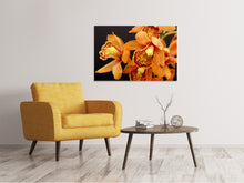 Lade das Bild in den Galerie-Viewer, Leinwandbild Orchideen mit orangen Blüten
