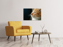 Lade das Bild in den Galerie-Viewer, Leinwandbild Kitten Nase
