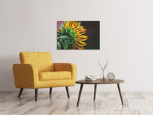 Lade das Bild in den Galerie-Viewer, Leinwandbild Sonnenblume Close up
