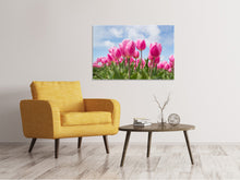 Lade das Bild in den Galerie-Viewer, Leinwandbild Tulpenfeld in rosa
