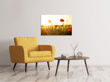 Lade das Bild in den Galerie-Viewer, Leinwandbild Mohn im Sonnenuntergang
