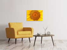 Lade das Bild in den Galerie-Viewer, Leinwandbild Wunderschöne Knospen der Sonnenblume
