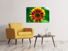 Lade das Bild in den Galerie-Viewer, Leinwandbild Farbenprächtige Sonnenblume
