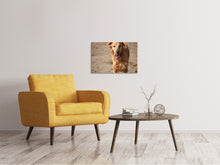 Lade das Bild in den Galerie-Viewer, Leinwandbild Nasser Hund
