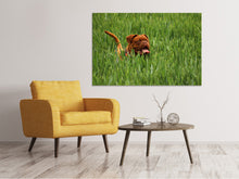Lade das Bild in den Galerie-Viewer, Leinwandbild Der Mastiff im Gras
