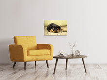 Lade das Bild in den Galerie-Viewer, Leinwandbild Süsse Rottweiler Welpe

