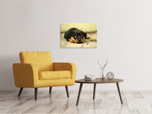 Lade das Bild in den Galerie-Viewer, Leinwandbild Süsse Rottweiler Welpe
