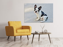 Lade das Bild in den Galerie-Viewer, Leinwandbild Süsse Französische Bulldogge

