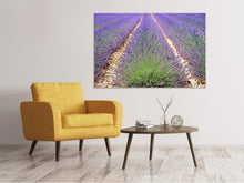 Lade das Bild in den Galerie-Viewer, Leinwandbild Das Lavendel Feld
