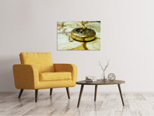 Lade das Bild in den Galerie-Viewer, Leinwandbild Goldener Kompass

