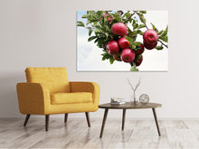 Lade das Bild in den Galerie-Viewer, Leinwandbild Close up Apfelbaum
