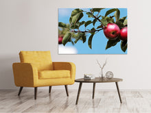 Lade das Bild in den Galerie-Viewer, Leinwandbild Apfel am Baum

