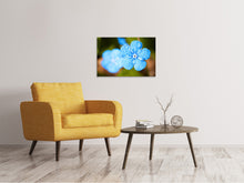 Lade das Bild in den Galerie-Viewer, Leinwandbild Blaue Blume mit Morgentau
