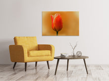 Lade das Bild in den Galerie-Viewer, Leinwandbild Eine Tulpe im Morgentau
