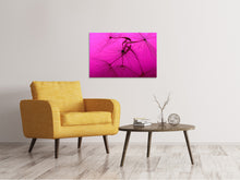 Lade das Bild in den Galerie-Viewer, Leinwandbild Pusteblume in pink
