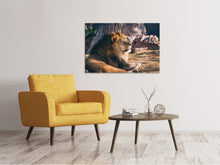 Lade das Bild in den Galerie-Viewer, Leinwandbild Löwe sonnt sich
