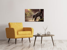 Lade das Bild in den Galerie-Viewer, Leinwandbild Das Elefantenbaby
