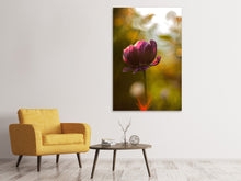 Lade das Bild in den Galerie-Viewer, Leinwandbild Dunkle Tulpen Schönheit
