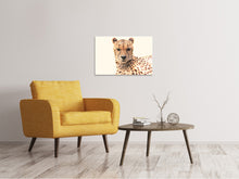 Lade das Bild in den Galerie-Viewer, Leinwandbild Gepard in der Sonne
