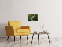 Lade das Bild in den Galerie-Viewer, Leinwandbild Gepard auf dem Sprung
