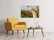 Lade das Bild in den Galerie-Viewer, Leinwandbild Gepard in der Natur
