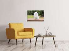 Lade das Bild in den Galerie-Viewer, Leinwandbild Der Spitz als Junghund
