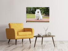 Lade das Bild in den Galerie-Viewer, Leinwandbild Der Spitz als Junghund
