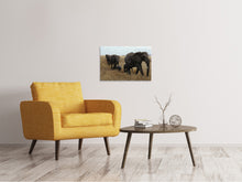 Lade das Bild in den Galerie-Viewer, Leinwandbild Elefanten Familie
