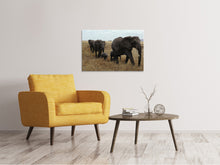 Lade das Bild in den Galerie-Viewer, Leinwandbild Elefanten Familie
